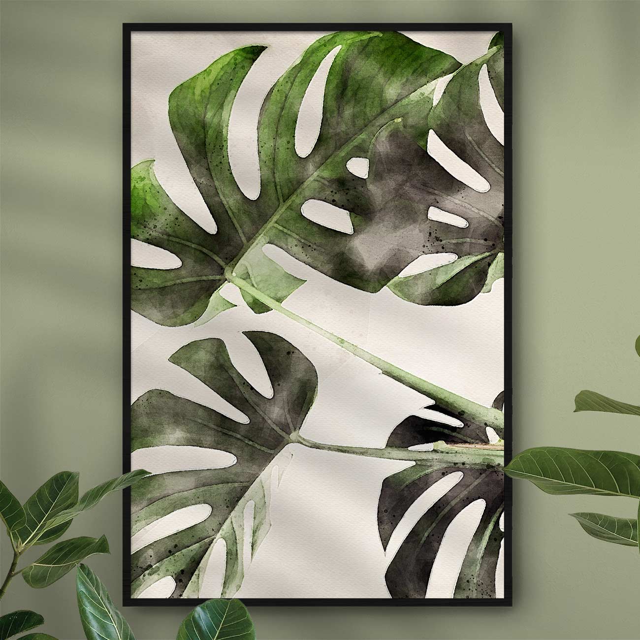 Monstera-Deliciosa