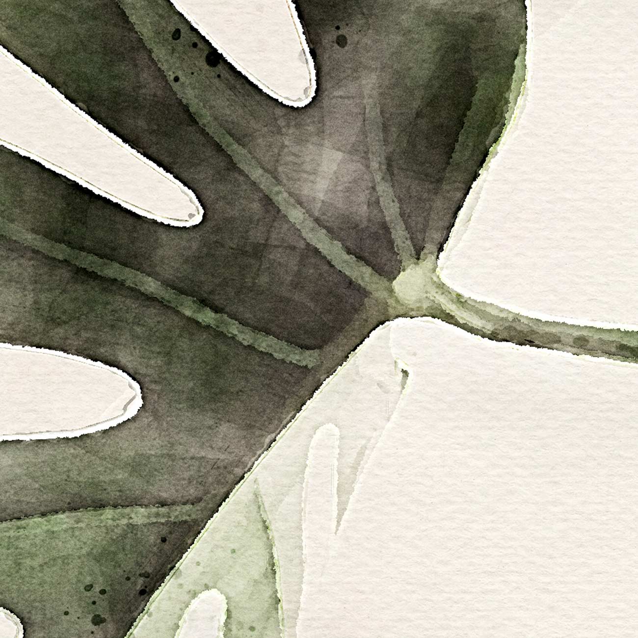 Monstera-Deliciosa