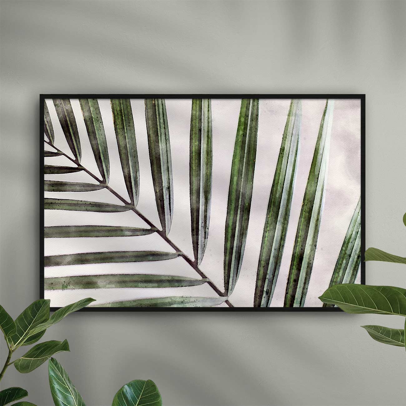 Kentia Palme
